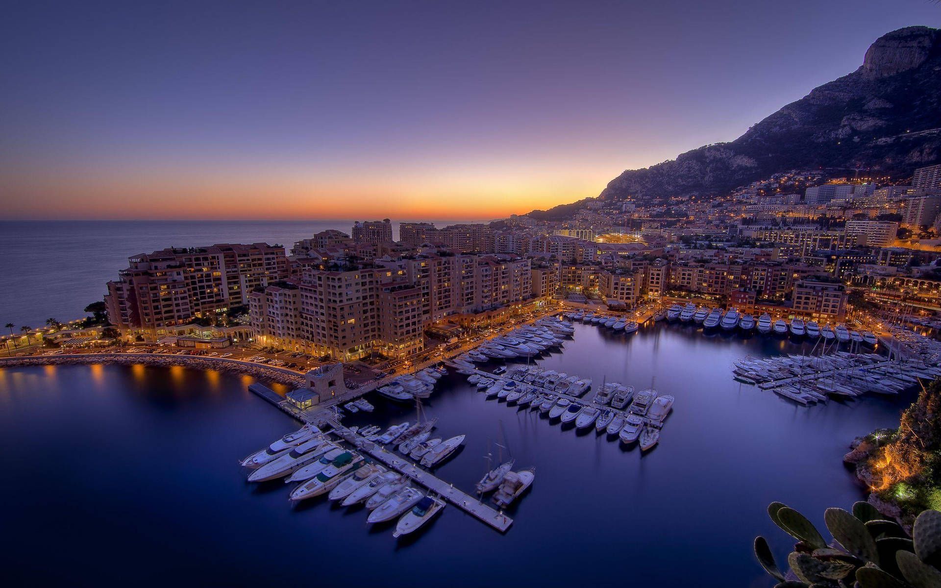 Beirut Spring Offer